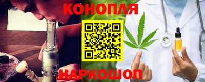 молекула духа Будённовск