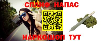 молекула духа Будённовск