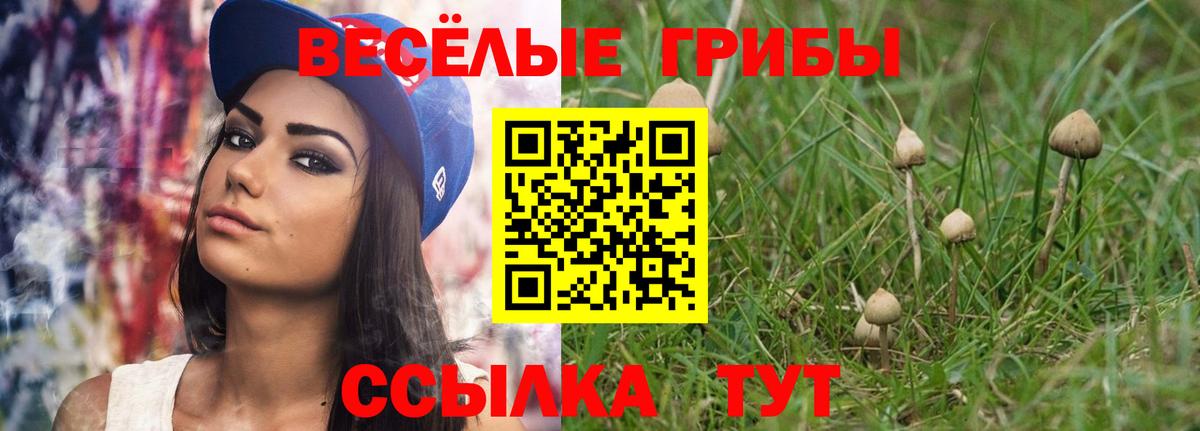 Псилоцибиновые грибы GOLDEN TEACHER Апшеронск